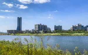 北京高考多少分能上中国政法大学？2024年综合投档线637分