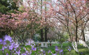 教室节贺卡怎么写祝福语_教室节贺卡怎么写祝福语