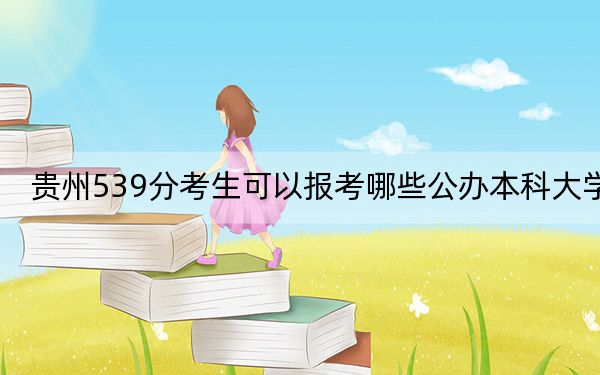 贵州539分考生可以报考哪些公办本科大学？（附带近三年高考大学录取名单）