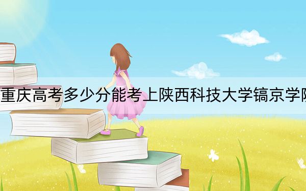 重庆高考多少分能考上陕西科技大学镐京学院？2024年历史类录取分428分 物理类录取分433分