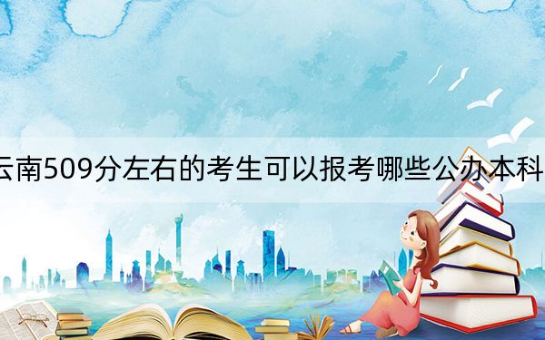 云南509分左右的考生可以报考哪些公办本科大学？（供2025届考生填报志愿参考）