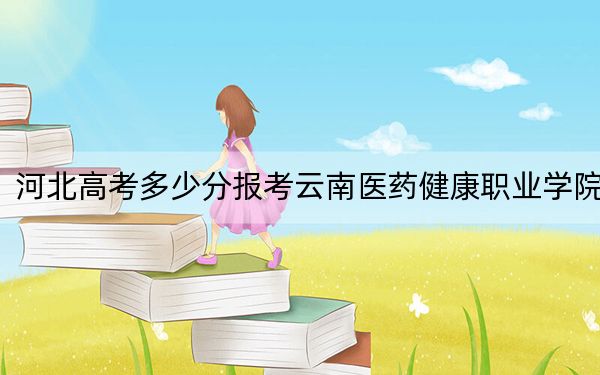 河北高考多少分报考云南医药健康职业学院？附2022-2024年最低录取分数线