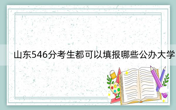 山东546分考生都可以填报哪些公办大学？ 2024年有14所录取最低分546的大学