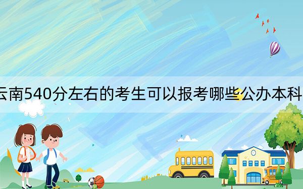 云南540分左右的考生可以报考哪些公办本科大学？ 2024年一共38所大学录取