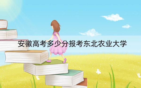 安徽高考多少分报考东北农业大学？附2022-2024年最低录取分数线