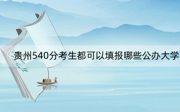 贵州540分考生都可以填报哪些公办大学？ 2024年一共20所大学录取