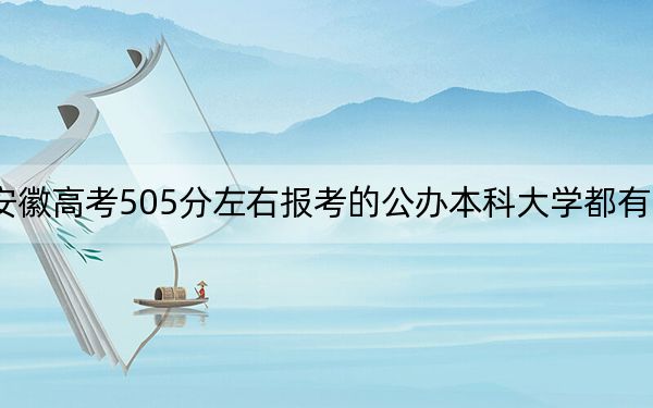 安徽高考505分左右报考的公办本科大学都有哪些？ 2025年高考可以填报70所大学