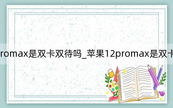 苹果12promax是双卡双待吗_苹果12promax是双卡双待吗答案 快吧手游