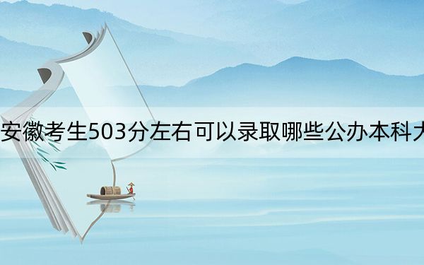 安徽考生503分左右可以录取哪些公办本科大学？（供2025届高三考生参考）