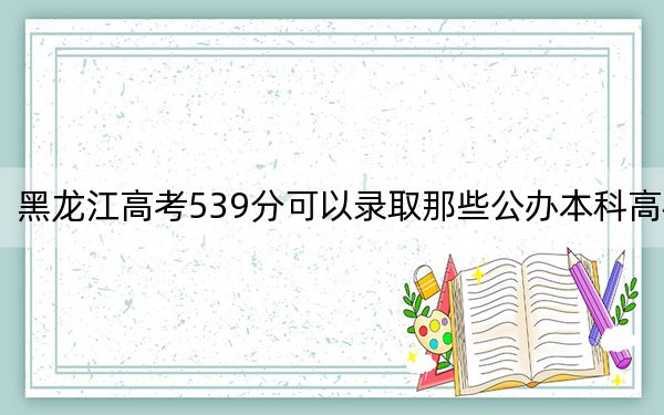 黑龙江高考539分可以录取那些公办本科高校？