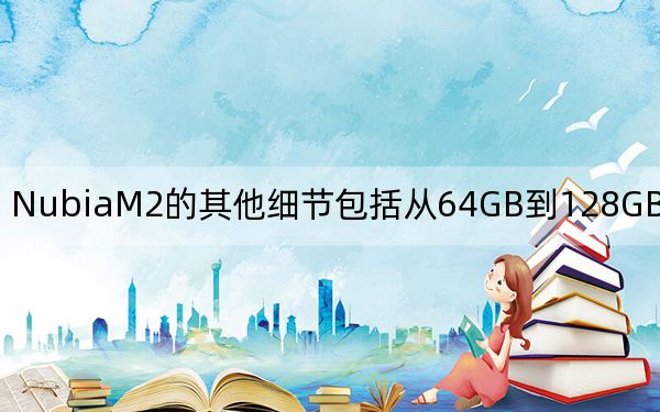 NubiaM2的其他细节包括从64GB到128GB的内存选项