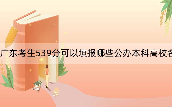 广东考生539分可以填报哪些公办本科高校名单？（附带2022-2024年539录取名单）