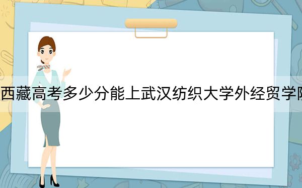 西藏高考多少分能上武汉纺织大学外经贸学院？2024年投档线分