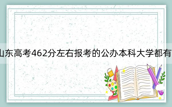 山东高考462分左右报考的公办本科大学都有哪些？（供2025年考生参考）