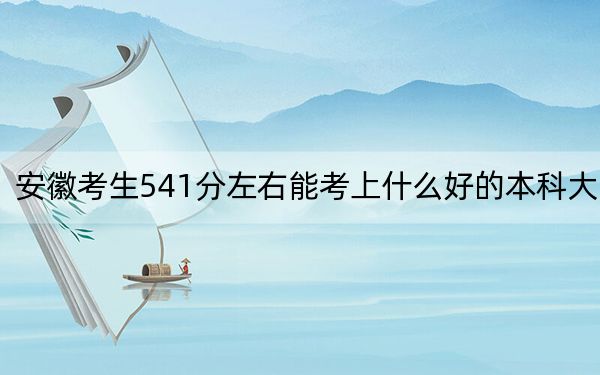 安徽考生541分左右能考上什么好的本科大学？ 2024年一共录取61所大学