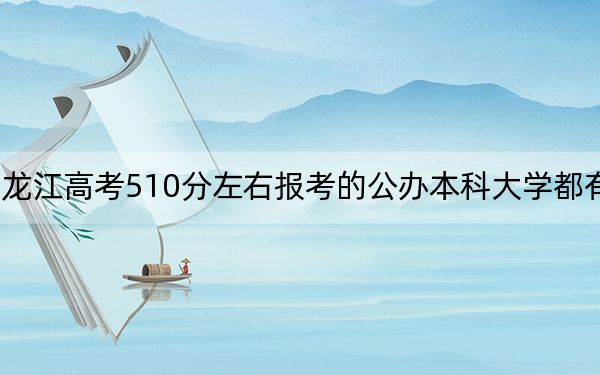 黑龙江高考510分左右报考的公办本科大学都有哪些？ 2024年一共67所大学录取