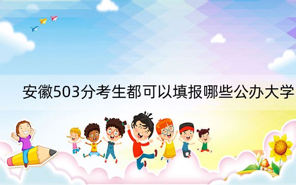 安徽503分考生都可以填报哪些公办大学？（附带2022-2024年503录取名单）