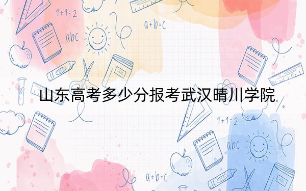 山东高考多少分报考武汉晴川学院？2024年综合投档线486分