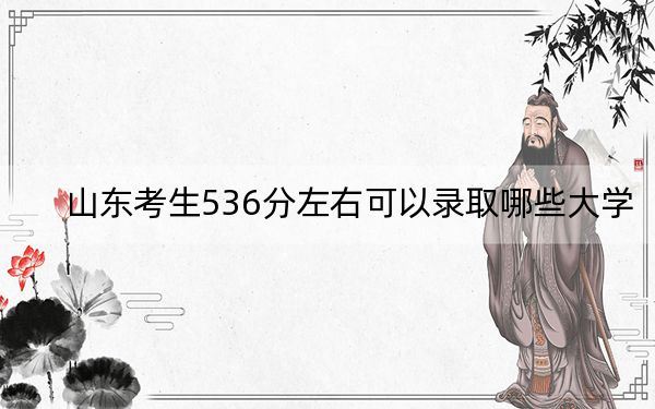 山东考生536分左右可以录取哪些大学？ 2024年录取最低分536的大学