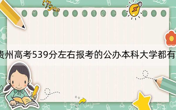 贵州高考539分左右报考的公办本科大学都有哪些？