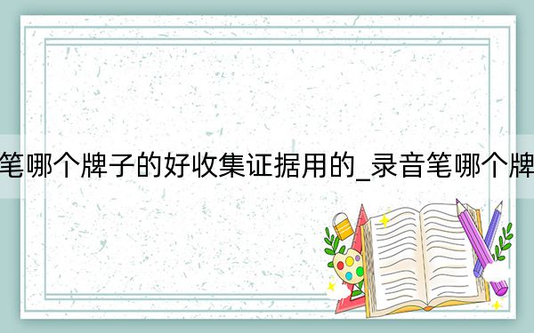 录音笔哪个牌子的好收集证据用的_录音笔哪个牌子的好