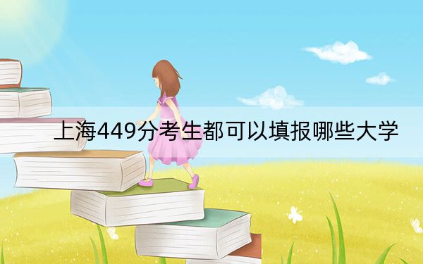 上海449分考生都可以填报哪些大学？